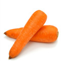 Hot Sale Carrot Powder